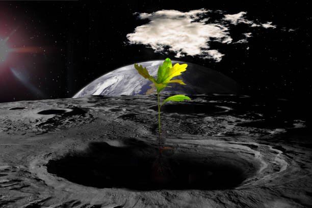 Securing Earth’s Biodiversity on the Moon